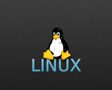 16 февраля 2024 года завершилось обучение по курсу "Администрирование Linux"